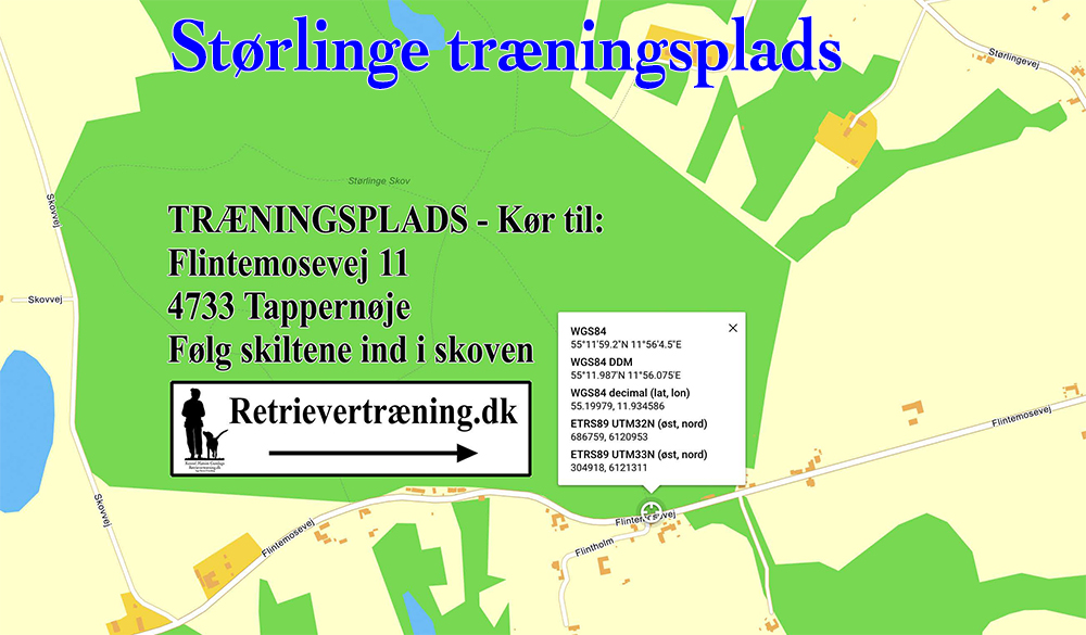 Kørselsvejledning Størlinge lav opløsning